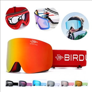 Magnetic Double-Layer Anti-Fog UV400 Protection Snow Goggles
